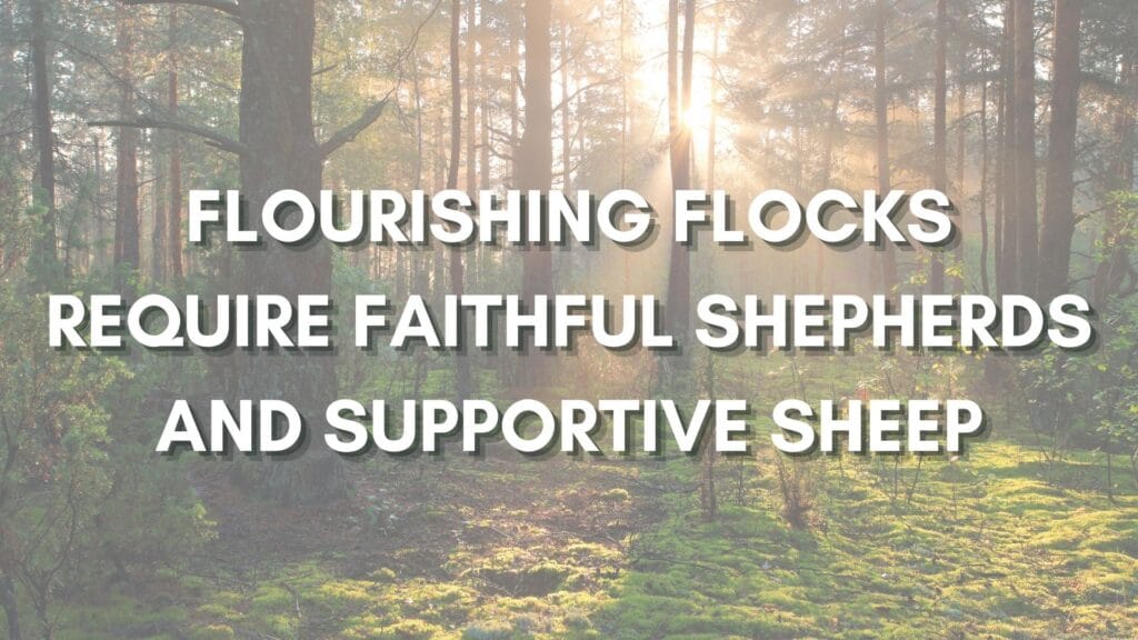 Flourishing Flocks Require Faithful Shepherds And Supportive Sheep